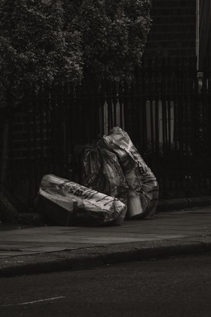 A pair of black plastic rubbish bags and a cardboard box are placed on the pavement next to a black metal fence and a large leafy tree in an urban environment. The bags appear to be filled with waste, with the plastic creases and folds visible, and the cardboard box is partially flattened with some printed text and packaging design on its surface. The scene is lit with natural daylight, casting soft shadows on the ground. The setting suggests an area commonly serviced by private rubbish removal providers, such as Rubbish Removal Notting Hill, for on-site waste collection or disposal outside residential or commercial properties. The background features a tall, dark, wooden structure or building wall, and the fence suggests a boundary or perimeter wall surrounding a property. The overall scene depicts typical waste presentation for rubbish collection, with emphasis on the materials' composition and arrangement for efficient on-site clearance or independent waste handling.